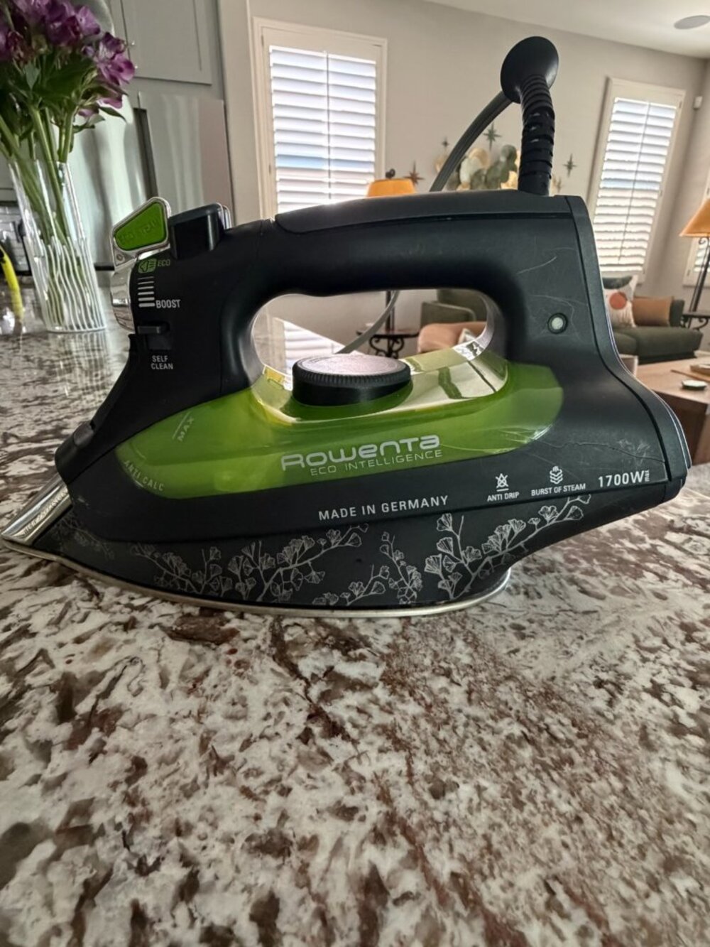 ROWENTA DW6080 Eco-Intelligence 1700Watt Steam Iron with Auto-Off Feature